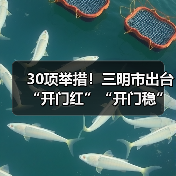30项举措！三明市出台“开门红”“开门稳”若干措施（图4）