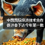 中国国际经济技术合作促进会下达今年第一批团标计划项目（图1）