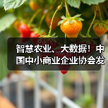 智慧农业、大数据！中国中小商业企业协会发布一批标准（图1）