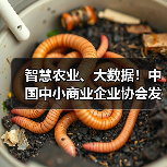 智慧农业、大数据！中国中小商业企业协会发布一批标准（图4）
