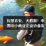 智慧农业、大数据！中国中小商业企业协会发布一批标准（图3）