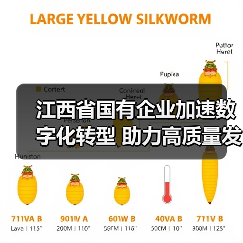 江西省国有企业加速数字化转型 助力高质量发展（图1）
