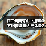 江西省国有企业加速数字化转型 助力高质量发展（图3）
