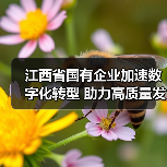 江西省国有企业加速数字化转型 助力高质量发展（图4）