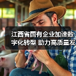 江西省国有企业加速数字化转型 助力高质量发展（图2）