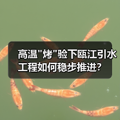 高温