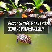 高温