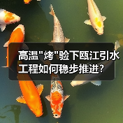 高温
