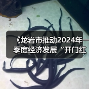 《龙岩市推动2024年一季度经济发展“开门红”“开门稳”的若干措施》解读（图3）