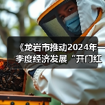 《龙岩市推动2024年一季度经济发展“开门红”“开门稳”的若干措施》解读（图4）