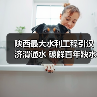 陕西最大水利工程引汉济渭通水 破解百年缺水难题（图4）