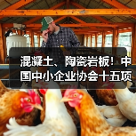 混凝土、陶瓷岩板！中国中小企业协会十五项标准发布施行（图2）