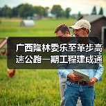 广西隆林委乐至革步高速公路一期工程建成通车（图4）