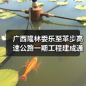 广西隆林委乐至革步高速公路一期工程建成通车（图3）