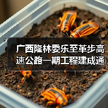 广西隆林委乐至革步高速公路一期工程建成通车（图2）