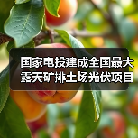 国家电投建成全国最大露天矿排土场光伏项目（图4）