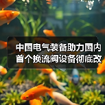 中国电气装备助力国内首个换流阀设备彻底改造工程（图4）