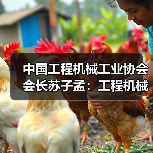 中国工程机械工业协会会长苏子孟：工程机械行业运行趋势与BICES 2023展望（图3）