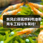 东风启辰氢燃料电池乘用车工程样车亮相！（图4）