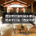 西安市住房和城乡建设局关于印发《西安市建设工程监理企业信用评价管理办法》的通知（图2）