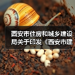 西安市住房和城乡建设局关于印发《西安市建设工程监理企业信用评价管理办法》的通知（图3）