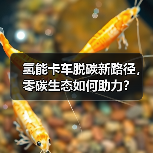 氢能卡车脱碳新路径,零碳生态如何助力?(图1) 氢能卡车脱碳新路径,零碳生态如何助力?(图1)