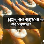 中国制造业出海加速 未来如何布局?(图3) 中国制造业出海加速 未来如何布局?(图3)