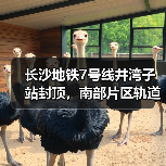 长沙地铁7号线井湾子站封顶，南部片区轨道成网提速（图1）