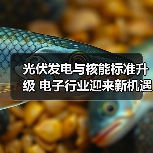 光伏发电与核能标准升级 电子行业迎来新机遇（图1）