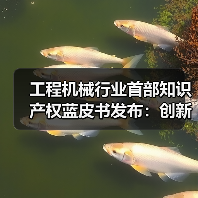 工程机械行业首部知识产权蓝皮书发布：创新驱动如何重塑全球竞争力？（图4）