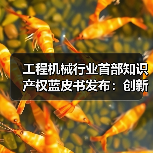 工程机械行业首部知识产权蓝皮书发布：创新驱动如何重塑全球竞争力？（图3）
