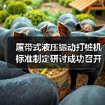 履带式液压振动打桩机标准制定研讨成功召开(图4) 履带式液压振动打桩机标准制定研讨成功召开(图4)