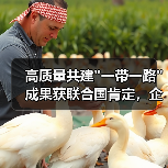 高质量共建 高质量共建