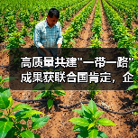 高质量共建 高质量共建
