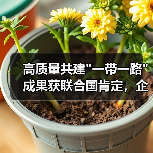 高质量共建 高质量共建