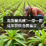 高质量共建 高质量共建