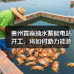 贵州首座抽水蓄能电站开工，将如何助力能源转型？（图3）