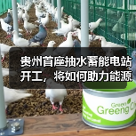 贵州首座抽水蓄能电站开工，将如何助力能源转型？（图4）