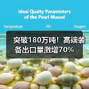 突破180万吨!高端装备出口量激增70%(图3) 突破180万吨!高端装备出口量激增70%(图3)