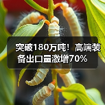 突破180万吨!高端装备出口量激增70%(图4) 突破180万吨!高端装备出口量激增70%(图4)