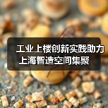 工业上楼创新实践助力上海智造空间集聚（图4）