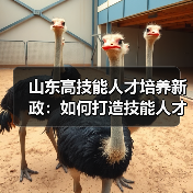 山东高技能人才培养新政：如何打造技能人才新高地？（图3）