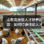 山东高技能人才培养新政：如何打造技能人才新高地？（图2）