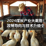 2024煤炭产业大调整!政策导向与技术升级全解析(图4) 2024煤炭产业大调整!政策导向与技术升级全解析(图4)