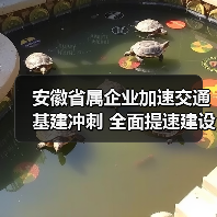 安徽省属企业加速交通基建冲刺 全面提速建设(图1) 安徽省属企业加速交通基建冲刺 全面提速建设(图1)