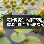 安徽省属企业加速交通基建冲刺 全面提速建设(图3) 安徽省属企业加速交通基建冲刺 全面提速建设(图3)