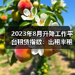 2023年8月升降工作平台租赁指数：出租率租金分化明显（图4）