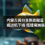 内蒙古首台全断面隧道掘进机下线 搭建高端装备制造新标杆(图2) 内蒙古首台全断面隧道掘进机下线 搭建高端装备制造新标杆(图2)