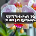 内蒙古首台全断面隧道掘进机下线 搭建高端装备制造新标杆(图4) 内蒙古首台全断面隧道掘进机下线 搭建高端装备制造新标杆(图4)