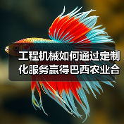 工程机械如何通过定制化服务赢得巴西农业合作社信任？（图3）